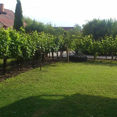 In 18430 Holiday home Balatonfenyves